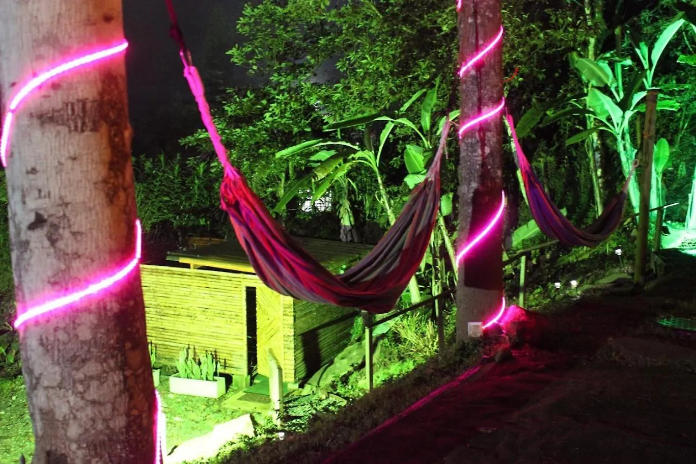 Nido Bag Glamping Hotel Cali Colombia